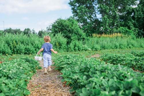 5 Tips for storing gardening equipment | Storage King